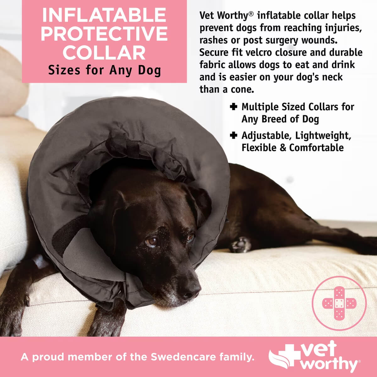 Vet Worthy Inflatable Protective Collar - Recovery & Wound Protection
