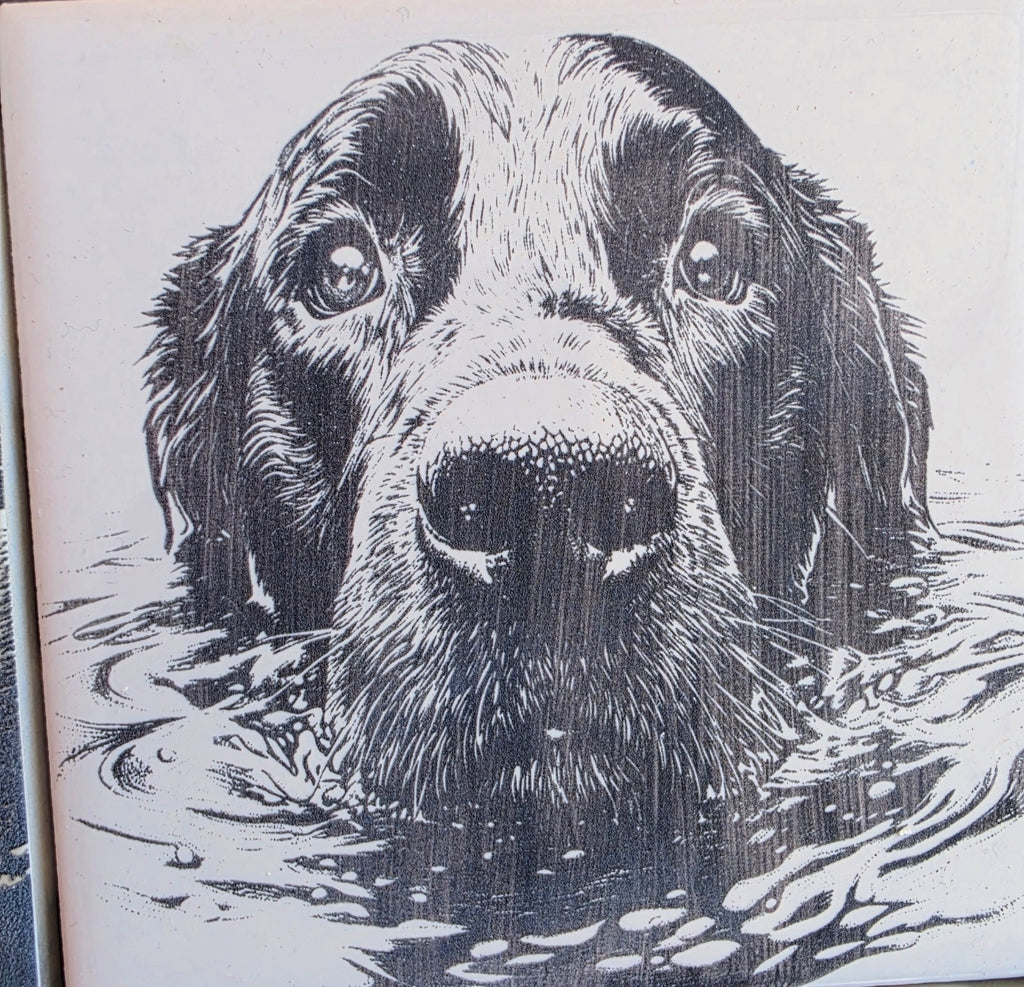 Water Dog engraved ceramic tile, front view
