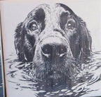 Water Dog engraved ceramic tile, front view