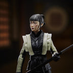 Close-up of the Akiko figure's face, black hair and cream-and-black outfit.
