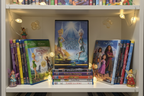 Disney Secret of the Wings DVD Kids Shelf