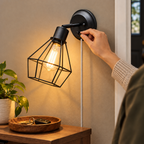 Styled hand operating the Evans 51790 canopy switch above a hallway console; bulb sold separately