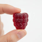 Close-up of raspberry flavored vitamin gummy showing texture soft natural lighting