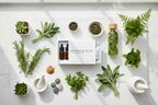 Salus Floradix supplement box in botanical wellness flat lay with fresh herbs and plants under natural light