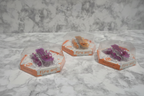 HEXBUG Fire Ant Purple, Orange, and Red variants in original hexagonal packaging on marble surface