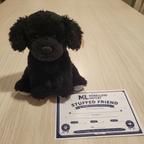 Animal Adventure Black Puppy Plush next to More4less Outlet Stuffed Friend Adoption Certificate gift flat lay - More4less Outlet