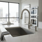 Contemporary kitchen sink setup featuring an integrated Kohler metal soap dispenser in stainless finish