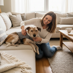 Pet owner gently adjusting grey dog anxiety vest on relaxed terrier mix on sofa