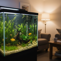 Aqueon Pro 200W heater submerged in large 75 gallon planted freshwater aquarium with tropical fish, living room lifestyle