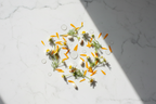 Chamomile flowers calendula petals glycerin drops and panthenol capsules flat lay curl care botanicals lifestyle photo