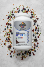 Garden of Life Sport Organic Plant Protein flat lay on grey background with peas lentils cranberries and blueberries