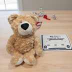 GUND Philbin Teddy Bear next to More4less Outlet Stuffed Friend Adoption Certificate gift flat lay - More4less Outlet