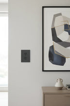 Legrand Adorne graphite wall plate on light-gray gallery wall next to modern abstract art in contemporary living room