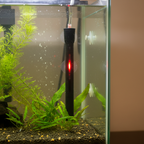 Close-up of black submersible aquarium heater with red LED indicator light glowing inside fish tank