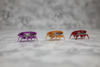 Three HEXBUG Fire Ant micro robotic creatures in purple, orange, and red racing across a surface low-angle shot