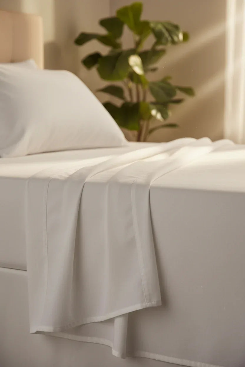 Wellness Plus white queen sheet set fabric close-up with golden hour sunlight and green houseplant in background