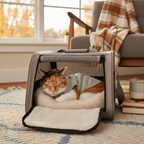 Small cat in light grey vest relaxing inside open pet carrier in cozy home setting
