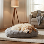 Small dog resting peacefully in oval pet bed in softly lit living room