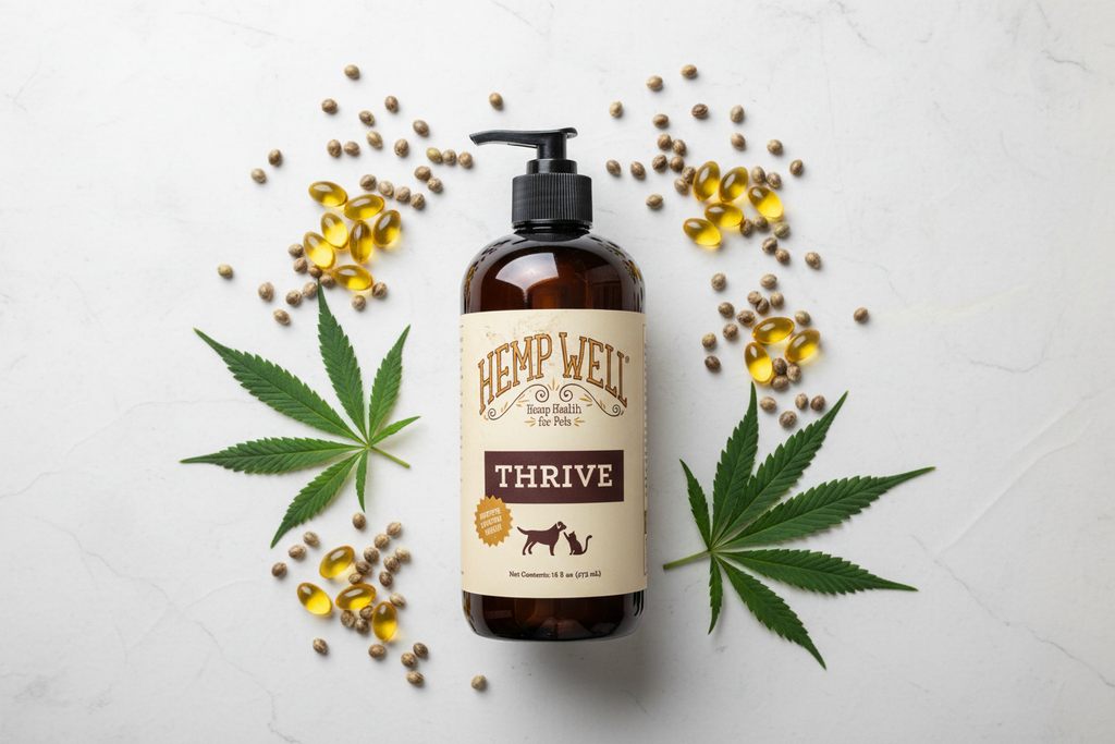 Hemp Well Thrive pet hemp seed oil flat lay with hemp seeds and green hemp leaves — organic cold-pressed GMO-free US-grown hemp supplement