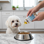 Person adding omega-3 fish oil drops to small dog food bowl, pet care lifestyle
