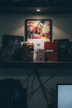 RAGE 2 Collector's Edition Steelbook and Ruckus talking head on gaming collector shelf with moody studio lighting — More4less Outlet