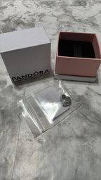 Actual Pandora 797516 charm and included box