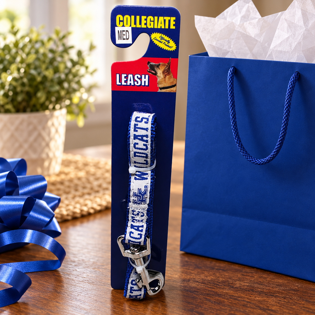 AI-generated lifestyle illustration of one packaged Pets First kentucky medium gift table collegiate leash; background props not included.