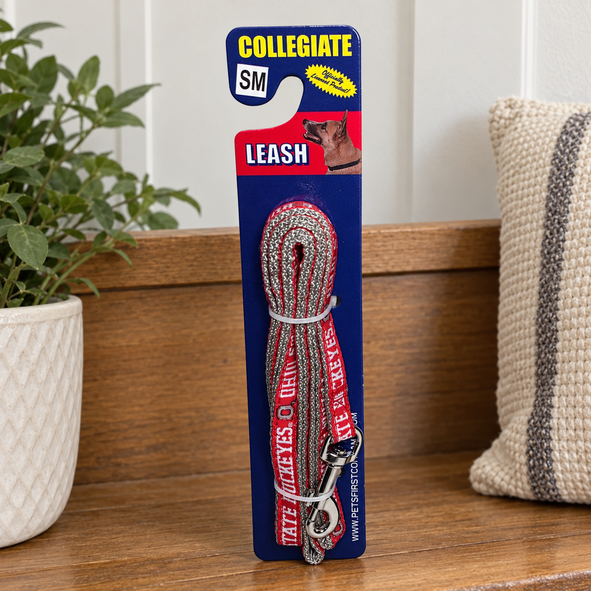 AI-generated lifestyle illustration of one packaged Pets First ohio small entry bench collegiate leash; background props not included.