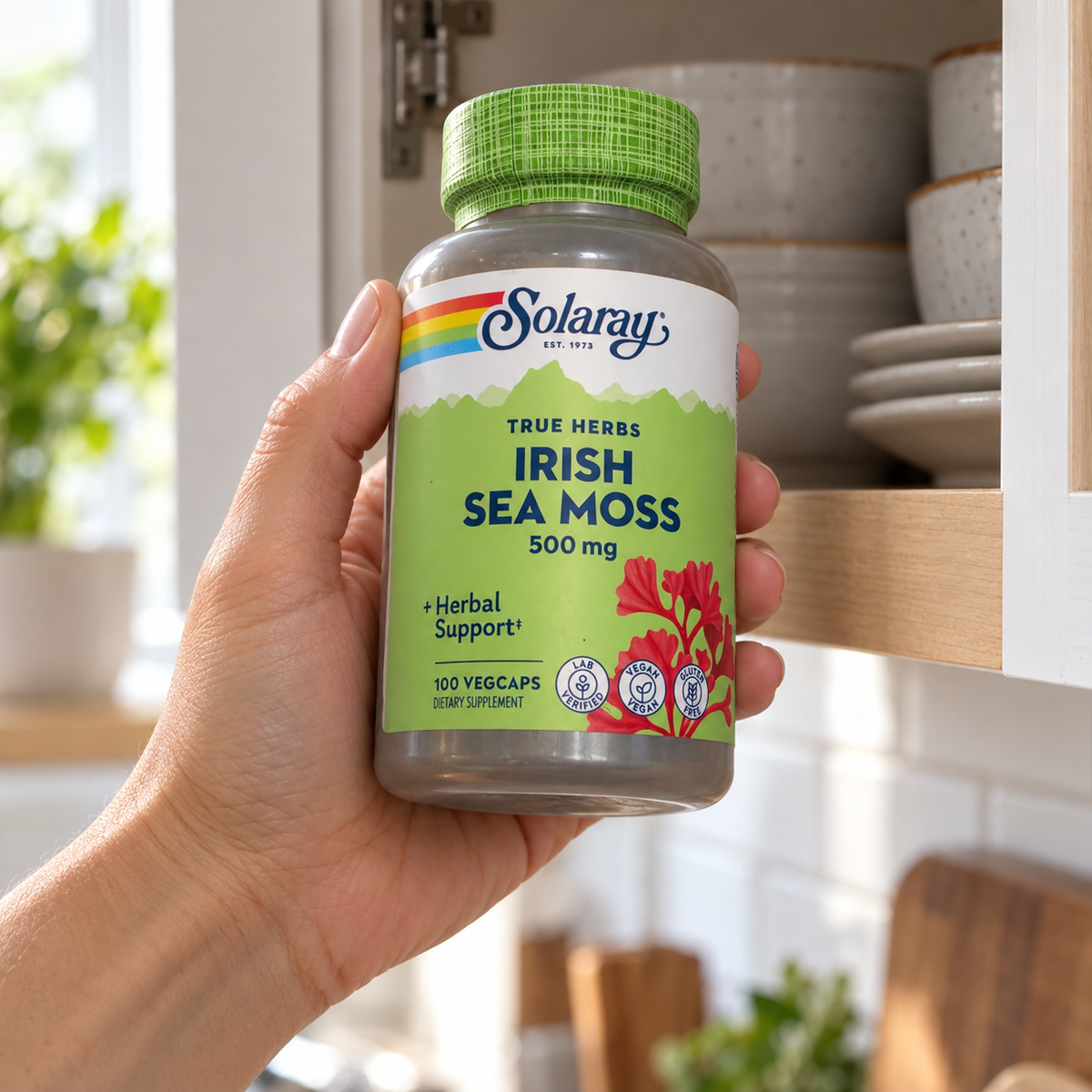Adult taking a Solaray Irish Sea Moss bottle from a kitchen cabinet