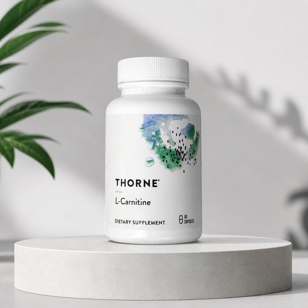 Thorne L-Carnitine 330 mg 60 capsules clean studio lifestyle image
