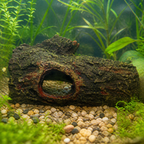 Illustrative context: Zilla Bark Bends Medium in a planted aquarium; animals and accessories not included
