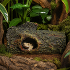 Illustrative context: Zilla Bark Bends Medium in a tropical terrarium; animal and accessories not included